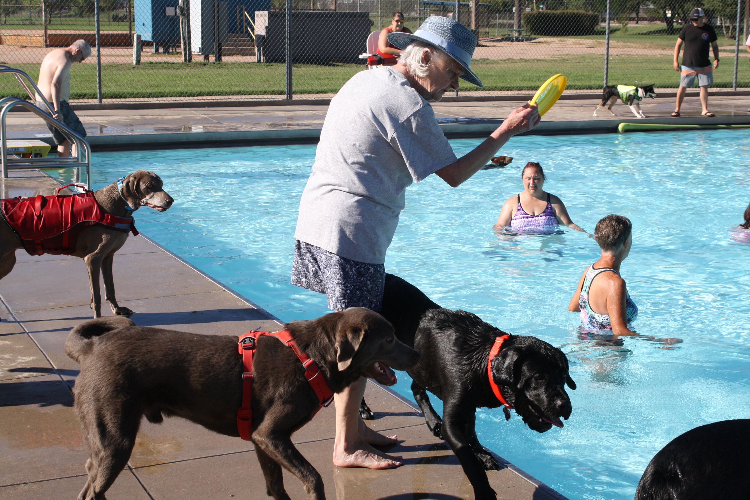 Pups in the Pool event 2024