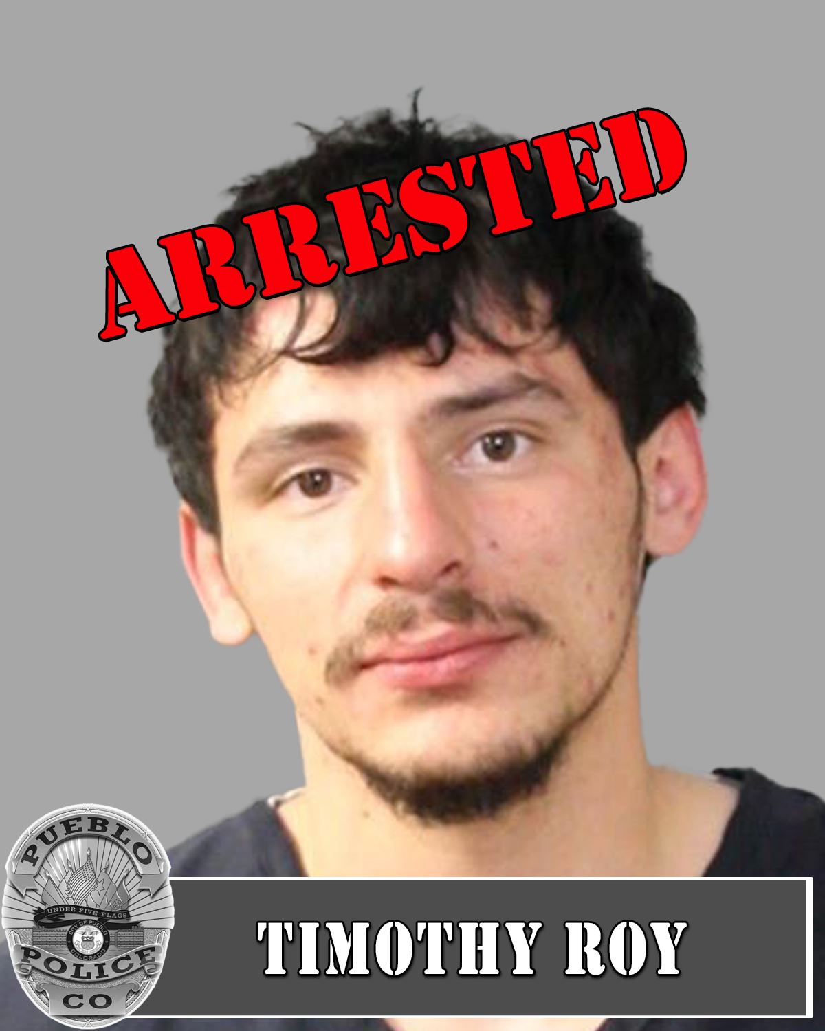 Timothy Roy Arrested