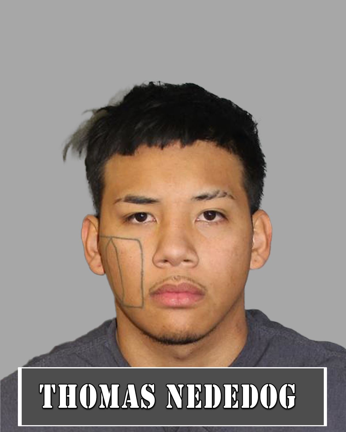 Thomas Nededog