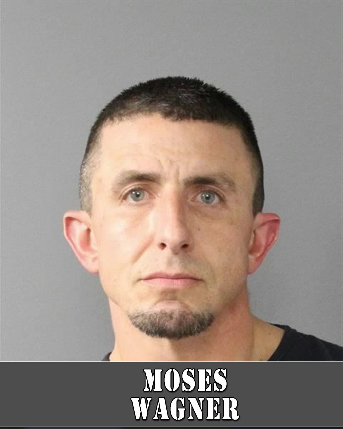Moses Wagner