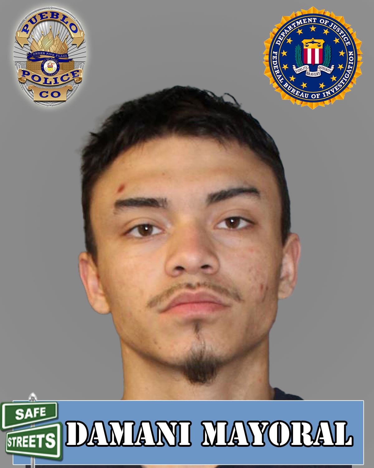 Safe Streets Damani Mayoral